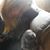 Stephanie Elizabeth Veith Zogg's profile image
