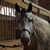 Jayne Herweyer's profile image