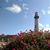 Patricia Taylor Numberg's profile image