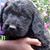 Peggy Wisler's profile image