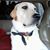 Debbie Waldeck's profile image