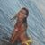Cristina Cardile's profile image
