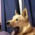 Doug Kamberling's profile image