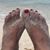 Sheila Zell Anderson's profile image
