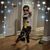 Lindsay Pinter's profile image
