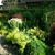 Nellie Krens's profile image
