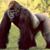 Mike Fuller's profile image