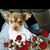 Lynn Eaves's profile image