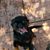 Crystal Bomer's profile image