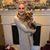 Ashleigh Netz's profile image