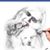 Sydney Ashlin's profile image