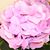 Patricia Thompson Ippolito's profile image