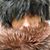 Dawn Elle Johnson's profile image