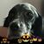 Pam Webb Jensen's profile image