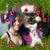 Justin Crow's profile image