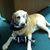 Lori Slagle's profile image