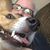 Jim Backstrom's profile image