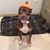 Tonya Davis's profile image