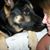 Dawn Renee Emert's profile image