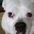 Jason Gravett's profile image