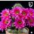 Jacquie Guthrie Jensen's profile image
