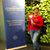 Geriann Hanley Wiesbrook's profile image