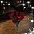 Beth Gemeny's profile image
