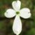 Pat A. Pruitt Smith's profile image
