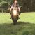 Josh Dyer's profile image