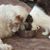 Kim L Smith's profile image