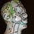 Terah Hinkley's profile image