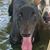 Lesley Roberts Tierney Ezkovich's profile image