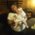 Donna L Brown's profile image