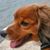 Kelly Ryan's profile image