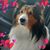 Shirley White's profile image