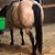 Janna Kimmons's profile image