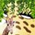 Pattie Nagle's profile image