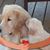 Debb Taylor's profile image