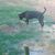 Linda Crawford's profile image