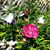 Jo Ann Schmidt's profile image