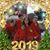 Roni N Bob Rambo's profile image