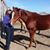 Sandra Mendez's profile image