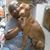 Shelley Byrd's profile image