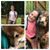Denise Sullivan's profile image
