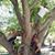 JoEllen Routh-Howe's profile image