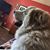 Elaine Newhouse's profile image