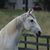 Maria Kimble's profile image
