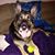 Tiffannie Lynn Scott's profile image