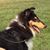 Leigh Anne Bates's profile image