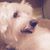 Kimberly Smith Webster's profile image